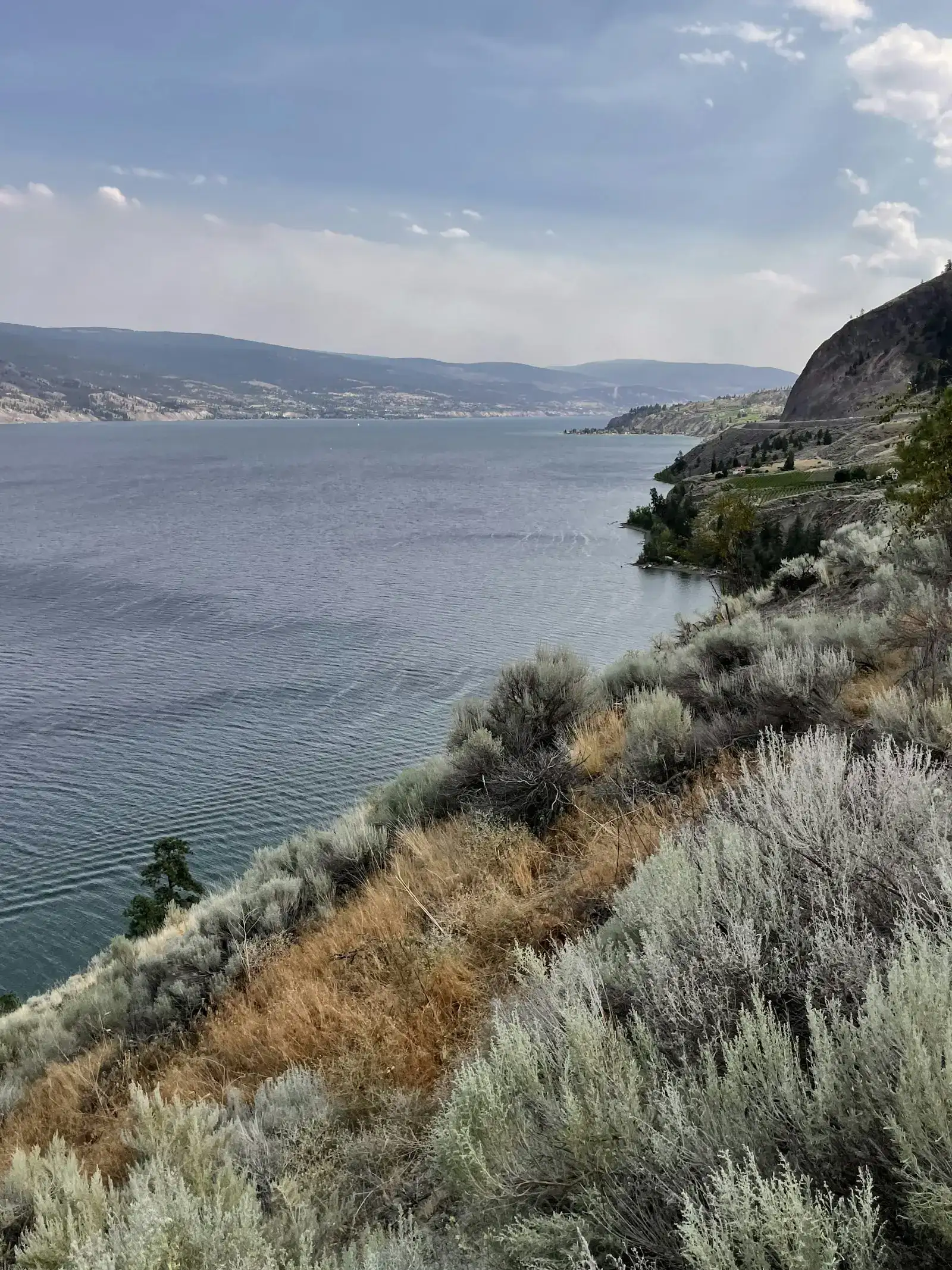 Lake and dry hillside in BC's interior